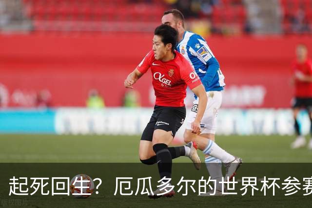 起死回生？厄瓜多尔的世界杯参赛名额可能给意大利